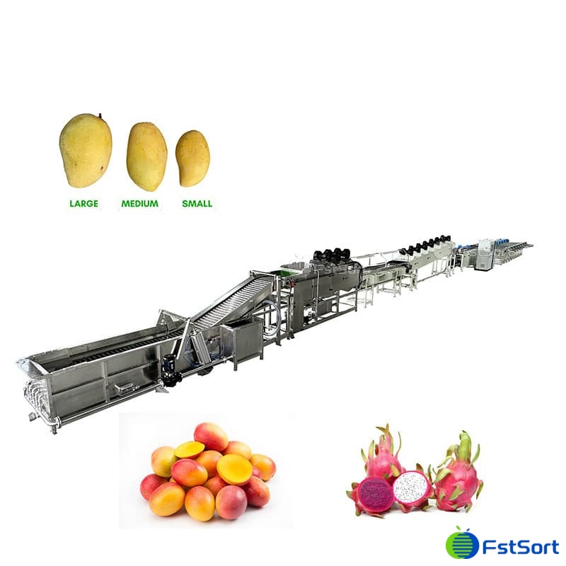 images/1763536872080mango 1.jpg